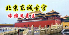 被大鸡吧后入操出水中国北京-东城古宫旅游风景区